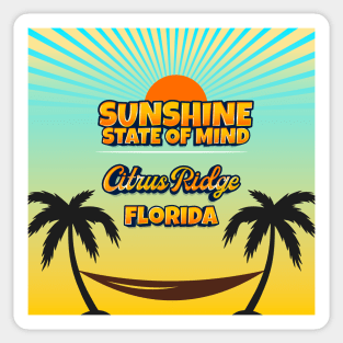 Citrus Ridge Florida - Sunshine State of Mind Sticker